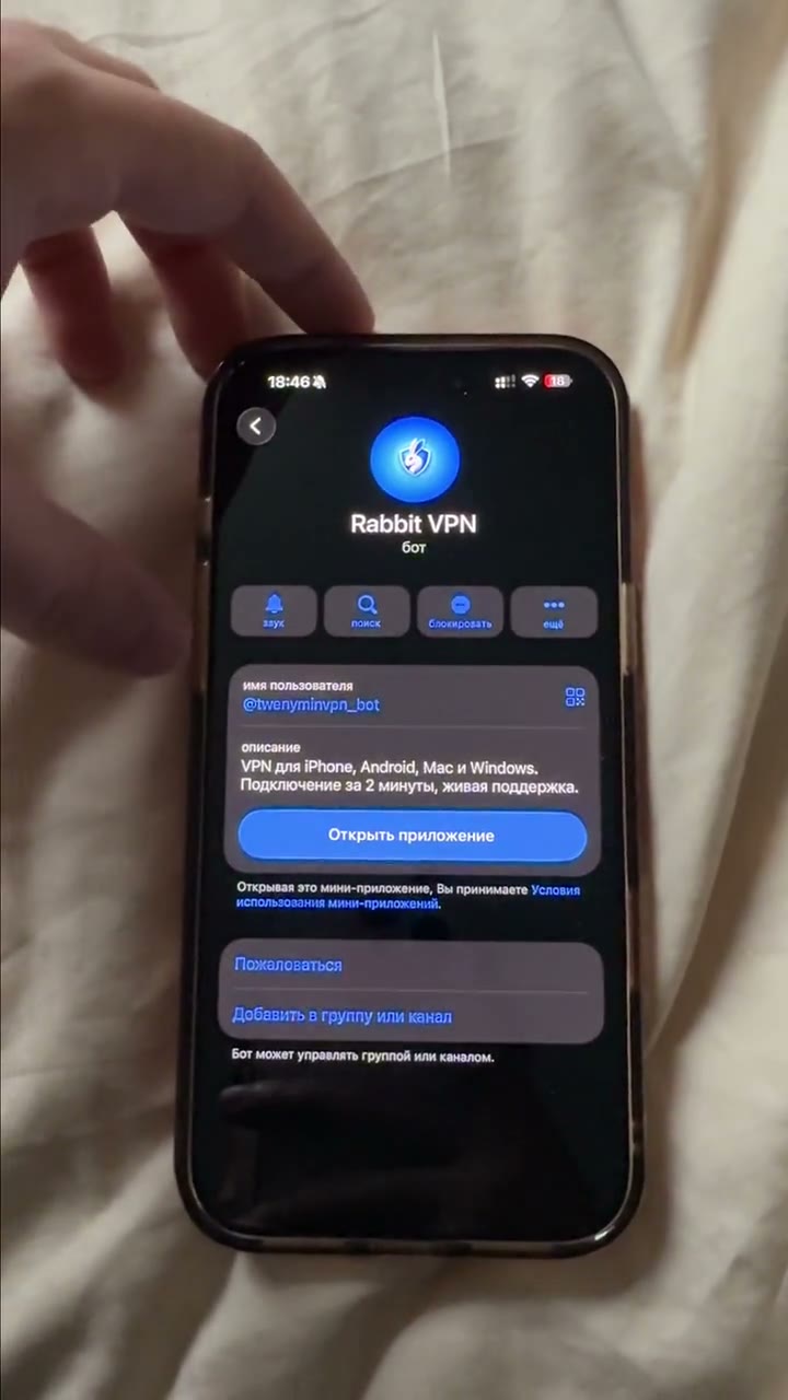 Видео: подключение Rabbit VPN через Telegram-бота